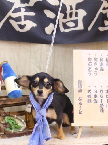 20240625叶空ちゃん